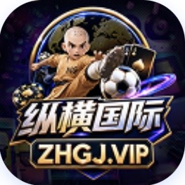 纵横国际